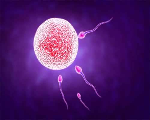 江西合法捐卵,月经推迟卵巢囊肿是怎么引起的