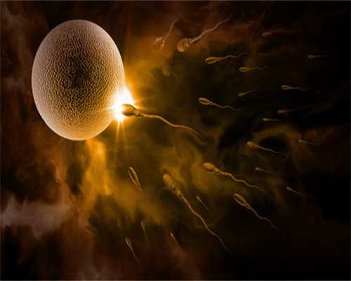 广西做试管捐卵,多囊卵巢综合征可能会引发不孕