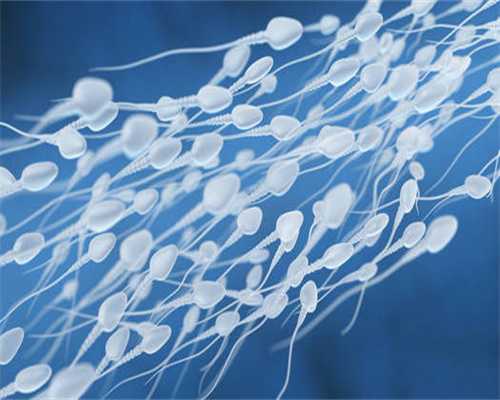 上海合法捐卵,多囊卵巢综合征患者如何更“好孕