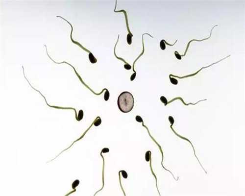 福建捐卵年龄,多囊卵巢的治疗方法有哪些