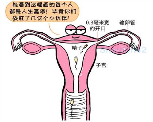 新疆正规捐卵,北京代怀孕女人附件囊肿是因为什