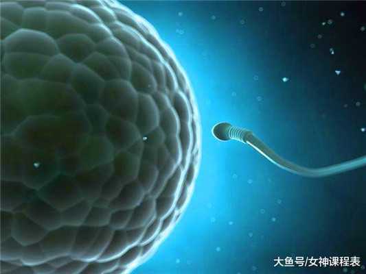 上海地下捐卵,卵巢囊肿平时注意什么_1