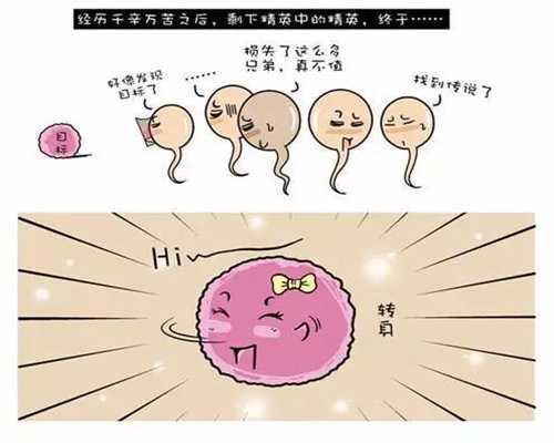 台湾招捐卵,多囊卵巢综合征怎么调理_1