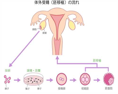 新疆32岁还能捐卵吗,怎样治疗卵巢囊肿呢