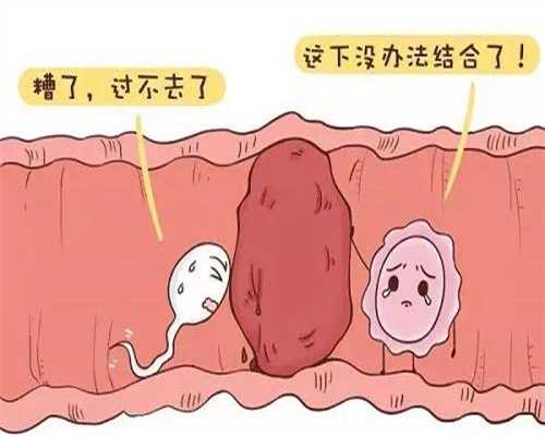 内蒙古捐卵多少钱,北京代怀孕妇得了多囊卵巢该