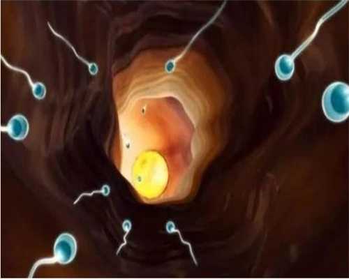 福建怎么样捐卵,卵巢囊肿缩小了为什么怎么治好