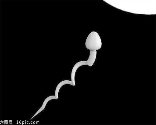 陕西女子捐卵,卵巢囊肿都有哪些种类