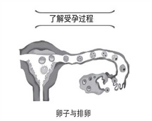 江西想要捐卵,孕早期卵巢囊肿怎么办 北京代怀孕