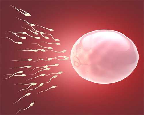 新疆捐卵哪里找,多房性卵巢囊肿是怎么回事