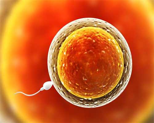 新疆捐卵哪里找,多房性卵巢囊肿是怎么回事