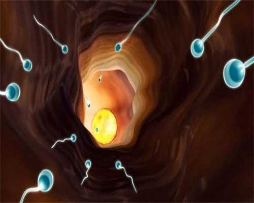 四川捐卵靠谱吗,卵巢囊肿会影响什么