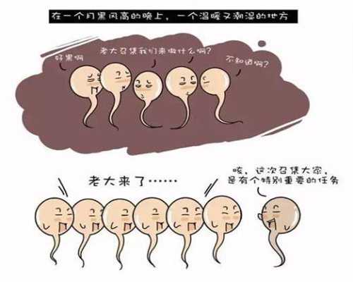 广东怎么捐卵,妇女为什么会患上卵巢囊肿呢