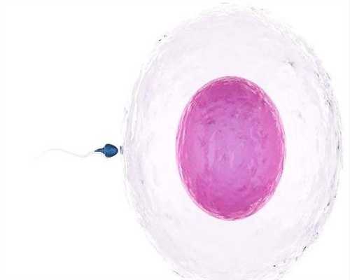 泸州捐卵-试管婴儿专家讲解为什么卵子质量低