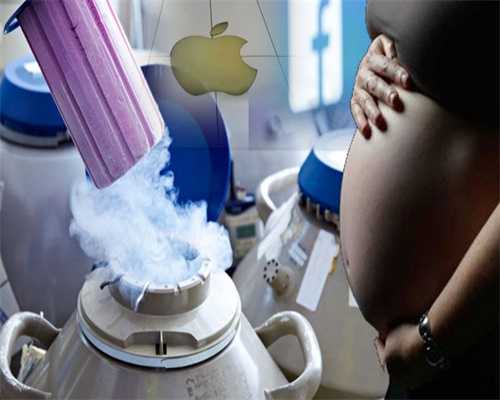 华人赴美捐卵-卵泡的发育机制：促性腺激素的作用