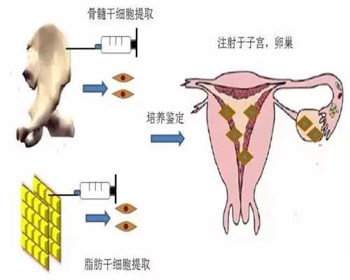 清远中国女性捐卵~广州供卵试管试管婴儿怎么样？去杰特宁医院好不？_1
