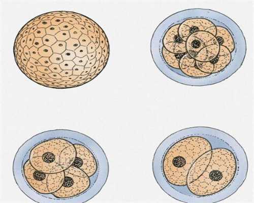 河北捐卵价格表_多囊卵巢能做试管婴儿!但取卵环节不这样做会影响成功率_1