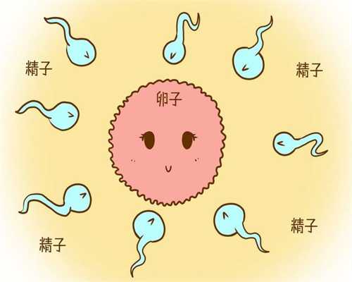 自助正规捐卵过程_怎样去广州供卵试管做试管婴儿？这2点一定要知道_1