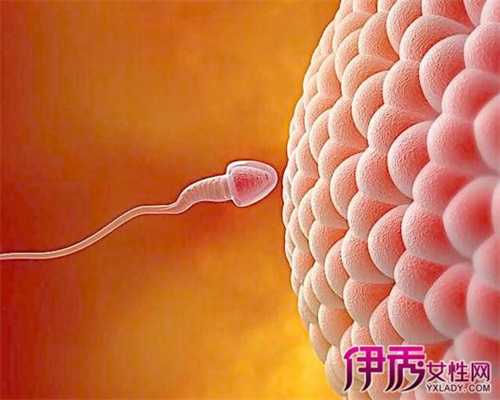 安徽个人找捐卵-卵巢早衰泰国试管婴儿 泰国试管医院预约vip通道_1