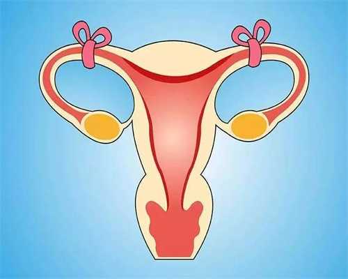澳门求捐卵-试管婴儿移植过程会伤害卵巢吗？对女性危害大不大？_1