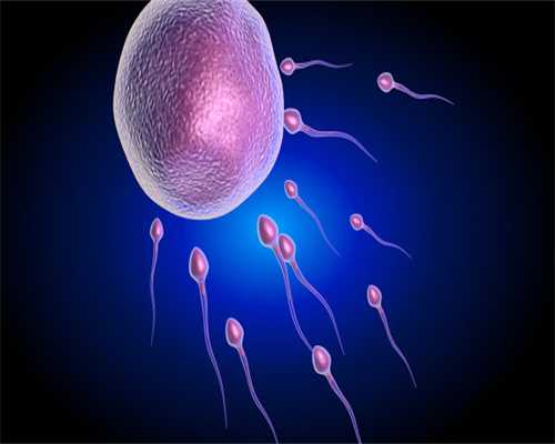韩国高薪捐卵，分析卵泡发育不良赴泰试管婴儿获取优质卵子的三大保障