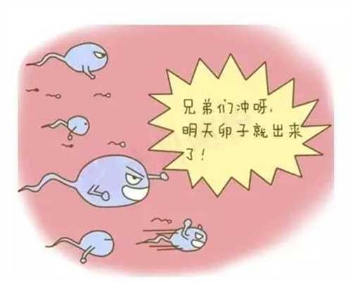 北京卵巢早衰供卵群，北京试管婴儿医院哪里好呢