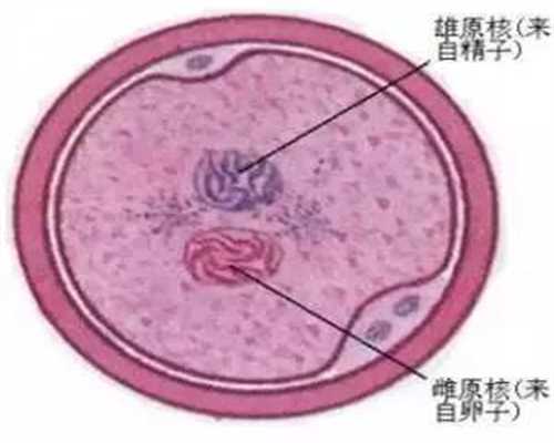 北京做供卵试管合法吗，家长别忘了新生儿听力筛查