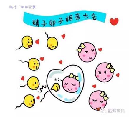 北京代孕包性别，为什么自闭症宝宝越来越多重视起来的家长越来越多